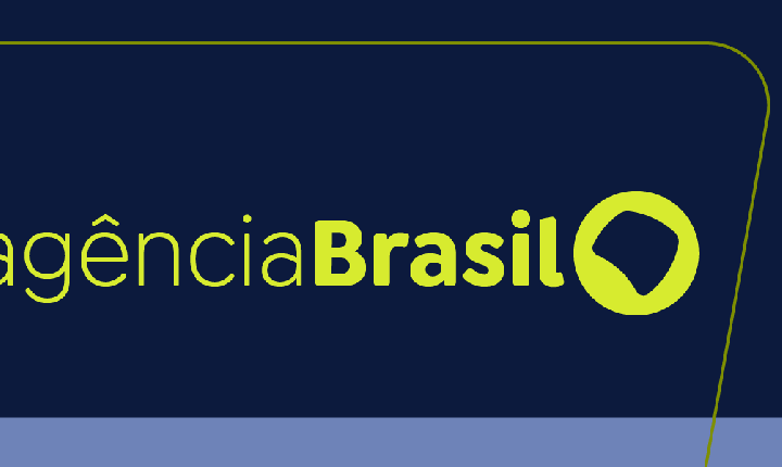 SP: três pessoas ficam feridas após árvore cair no Parque Ibirapuera