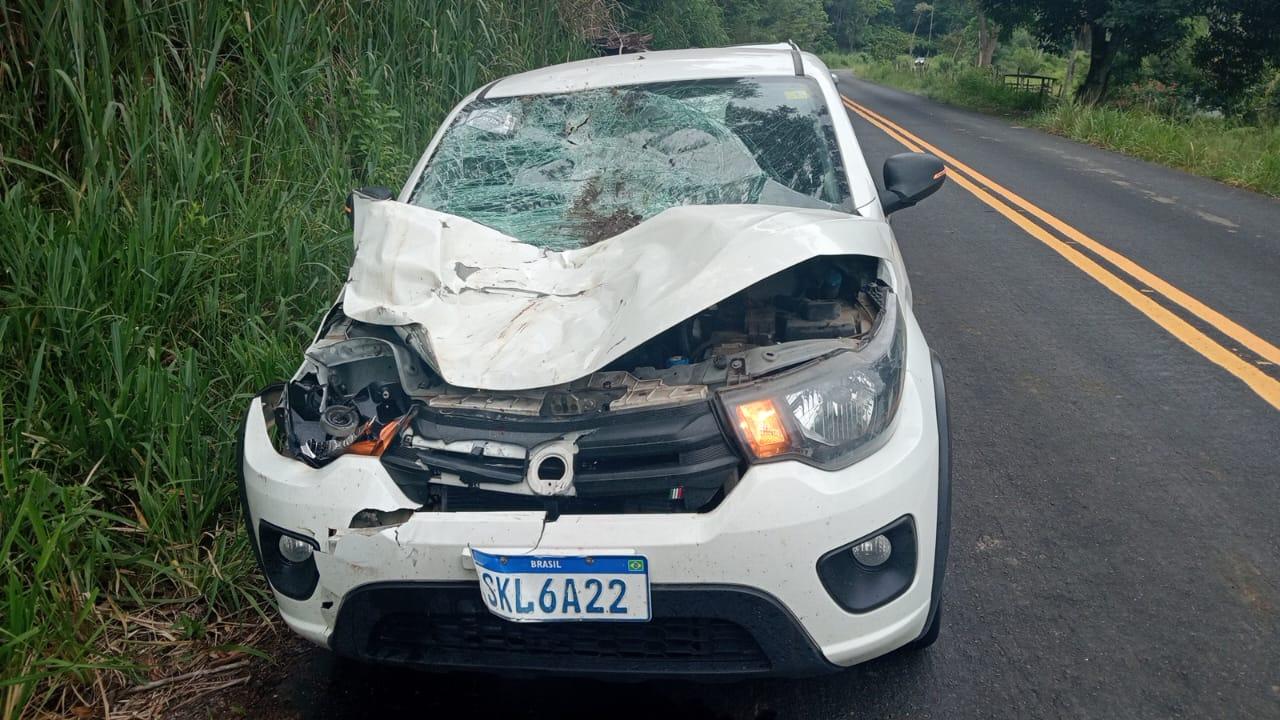 Veículo da Câmara de Itagi atinge animal na BA-130 e alerta para riscos recorrentes na rodovia