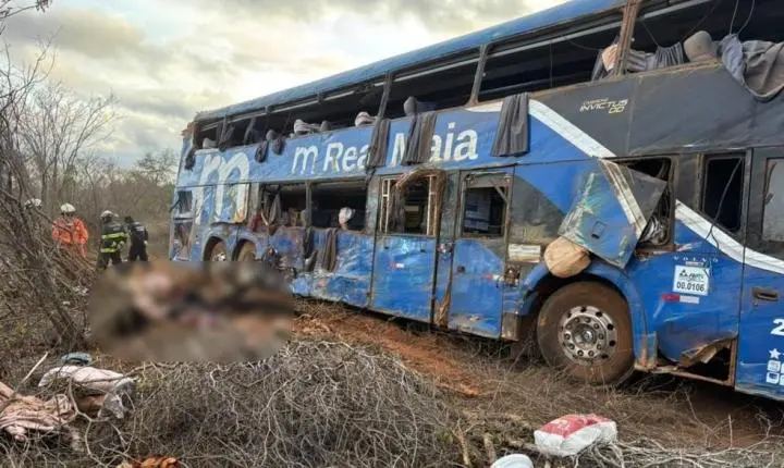 Cinto de segurança pode ter salvado vidas em acidente que matou sete pessoas na Bahia