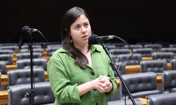 Projeto proíbe acesso a armas de fogo para quem responde por medida protetiva de urgência